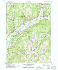 Download a high-resolution, GPS-compatible USGS topo map for Westford, NY (1994 edition)