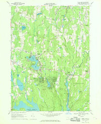 Download a high-resolution, GPS-compatible USGS topo map for White Lake, NY (1969 edition)