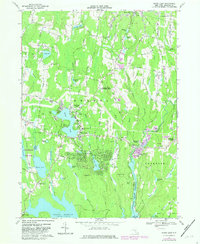Download a high-resolution, GPS-compatible USGS topo map for White Lake, NY (1982 edition)