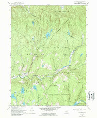 Download a high-resolution, GPS-compatible USGS topo map for Willowemoc, NY (1989 edition)