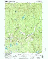 Download a high-resolution, GPS-compatible USGS topo map for Willowemoc, NY (2000 edition)