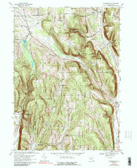 Download a high-resolution, GPS-compatible USGS topo map for Willseyville, NY (1989 edition)
