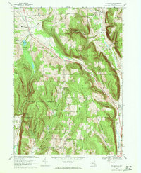 Download a high-resolution, GPS-compatible USGS topo map for Willseyville, NY (1976 edition)