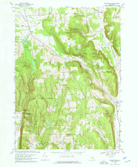 Download a high-resolution, GPS-compatible USGS topo map for Willseyville, NY (1971 edition)