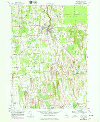 Download a high-resolution, GPS-compatible USGS topo map for Wolcott, NY (1979 edition)