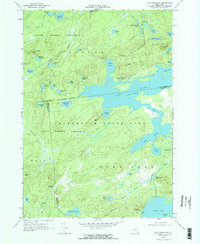 Download a high-resolution, GPS-compatible USGS topo map for Wolf Mountain, NY (1971 edition)