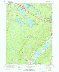 Download a high-resolution, GPS-compatible USGS topo map for Yankee Lake, NY (1990 edition)