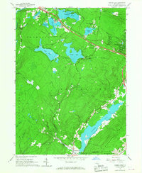 Download a high-resolution, GPS-compatible USGS topo map for Yankee Lake, NY (1976 edition)