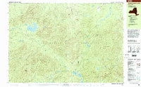 Download a high-resolution, GPS-compatible USGS topo map for Ampersand Lake, NY (2001 edition)