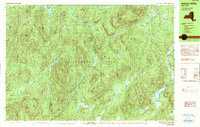 preview thumbnail of historical topo map of Warren County, NY in 1990