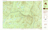 Download a high-resolution, GPS-compatible USGS topo map for Dutton Mountain, NY (1989 edition)