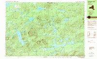 Download a high-resolution, GPS-compatible USGS topo map for Forked Lake, NY (1989 edition)