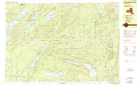 Download a high-resolution, GPS-compatible USGS topo map for Honnedaga Lake, NY (1989 edition)