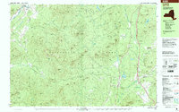Download a high-resolution, GPS-compatible USGS topo map for Lewis, NY (2000 edition)