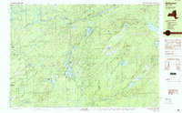 Download a high-resolution, GPS-compatible USGS topo map for Mc Keever, NY (1989 edition)