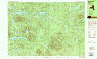preview thumbnail of historical topo map of Essex County, NY in 1989