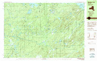 Download a high-resolution, GPS-compatible USGS topo map for Number Four, NY (1989 edition)