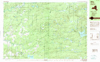 Download a high-resolution, GPS-compatible USGS topo map for Ohio, NY (1989 edition)