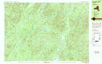 Download a high-resolution, GPS-compatible USGS topo map for Page Mountain, NY (1990 edition)
