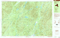 Download a high-resolution, GPS-compatible USGS topo map for Page Mountain, NY (2000 edition)