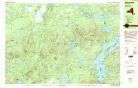 Download a high-resolution, GPS-compatible USGS topo map for Piercefield, NY (1990 edition)