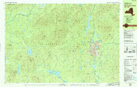 Download a high-resolution, GPS-compatible USGS topo map for Santanoni Peak, NY (1979 edition)