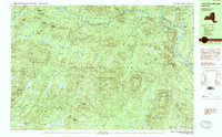 Download a high-resolution, GPS-compatible USGS topo map for Three Ponds Mountain, NY (1990 edition)