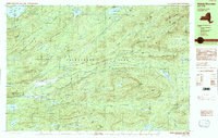 Download a high-resolution, GPS-compatible USGS topo map for Wakely Mountain, NY (1990 edition)