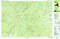 Download a high-resolution, GPS-compatible USGS topo map for Witherbee, NY (1979 edition)