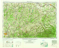 Download a high-resolution, GPS-compatible USGS topo map for Binghamton, NY (1963 edition)