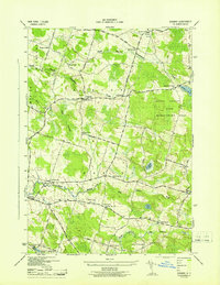 Download a high-resolution, GPS-compatible USGS topo map for Dugway, NY (1943 edition)