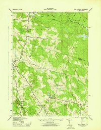 Download a high-resolution, GPS-compatible USGS topo map for East Florence, NY (1943 edition)