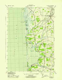 Download a high-resolution, GPS-compatible USGS topo map for Ellisburg, NY (1943 edition)