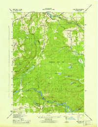 Download a high-resolution, GPS-compatible USGS topo map for Long Bow, NY (1943 edition)