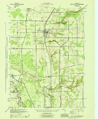 Download a high-resolution, GPS-compatible USGS topo map for North Collins, NY (1944 edition)