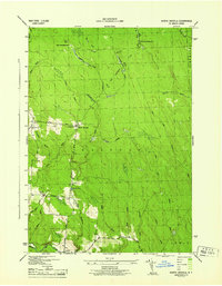 Download a high-resolution, GPS-compatible USGS topo map for North Osceola, NY (1944 edition)
