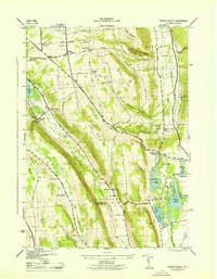 Download a high-resolution, GPS-compatible USGS topo map for Otisco Valley, NY (1943 edition)
