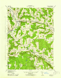 Download a high-resolution, GPS-compatible USGS topo map for Otselic, NY (1944 edition)
