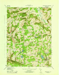 Download a high-resolution, GPS-compatible USGS topo map for Rensselaerville, NY (1946 edition)