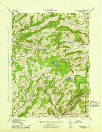 Download a high-resolution, GPS-compatible USGS topo map for South Valley, NY (1945 edition)