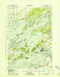 Download a high-resolution, GPS-compatible USGS topo map for Thousand Island Park, NY (1943 edition)