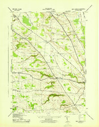 Download a high-resolution, GPS-compatible USGS topo map for West Lowville, NY (1943 edition)