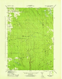 Download a high-resolution, GPS-compatible USGS topo map for Worth Center, NY (1943 edition)