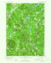 Download a high-resolution, GPS-compatible USGS topo map for North Creek, NY (1964 edition)