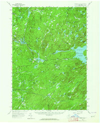 Download a high-resolution, GPS-compatible USGS topo map for Number Four, NY (1964 edition)