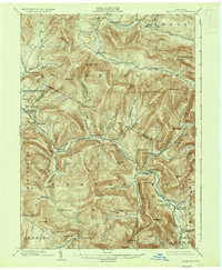 preview thumbnail of historical topo map of Phoenicia, NY in 1903