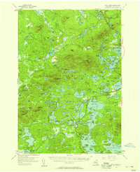 Download a high-resolution, GPS-compatible USGS topo map for Saint Regis, NY (1959 edition)