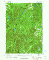 Download a high-resolution, GPS-compatible USGS topo map for Thirteenth Lake, NY (1964 edition)