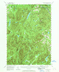 preview thumbnail of historical topo map of Warren County, NY in 1954