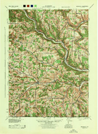 Download a high-resolution, GPS-compatible USGS topo map for Woodhull, NY (1944 edition)